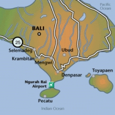 Bali 2.jpg (45976 octets)