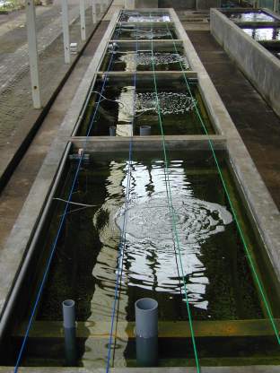 Bassin de stockage.jpg (24731 octets)