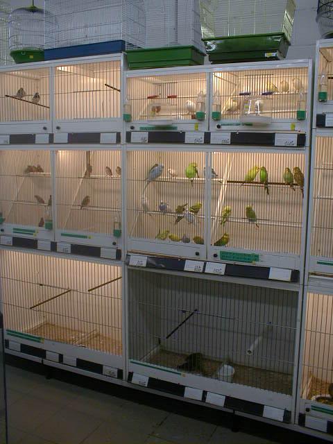 Enzoo008.jpg (54960 octets)
