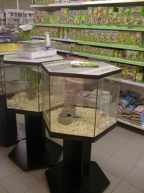 Enzoo011.jpg (57134 octets)