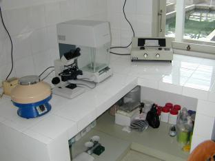 Laboratoire.jpg (11402 octets)