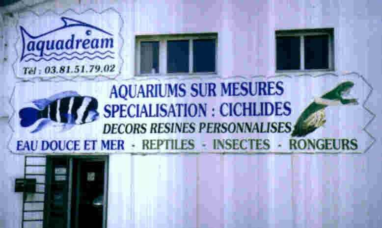 aquadream1.jpg (20891 octets)