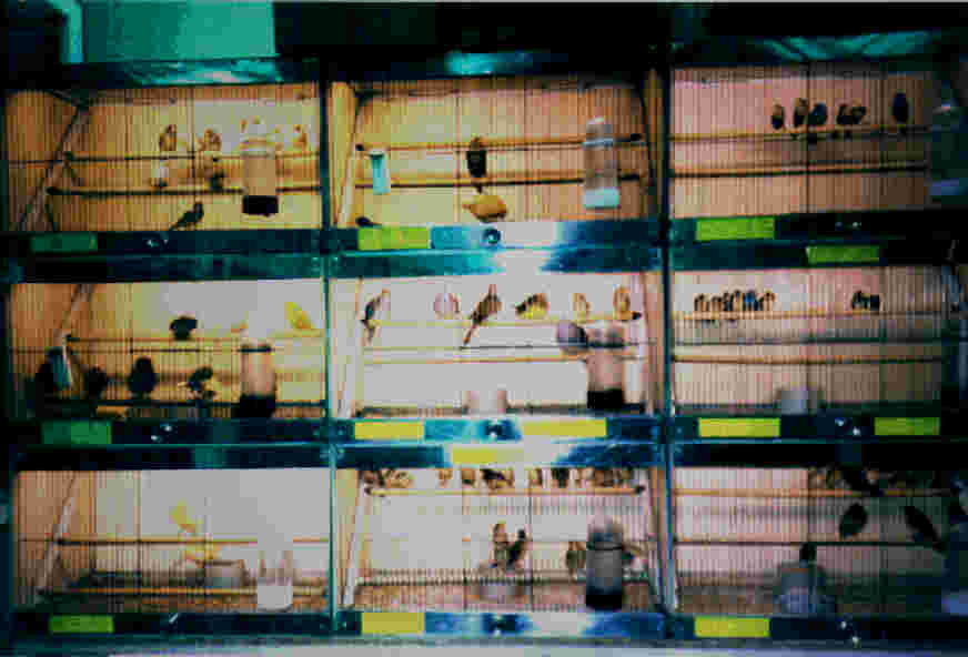 aquastyle4.jpg (29195 octets)