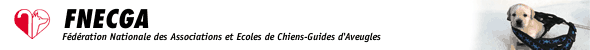 bando_m.gif (6484 octets)