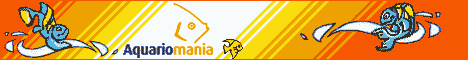 baniere aquariomania.gif (12809 octets)