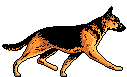 berger.gif (5047 octets)