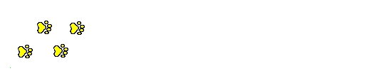 pas de chien.gif (10586 octets)