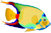 poisson ange.gif (11123 octets)